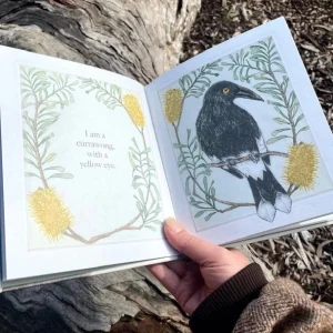 Bridget Farmer Eco | Books>A Child's First Bird Book - I am a Magpie, I am a Currawong
