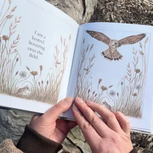 Bridget Farmer Eco | Books>A Child's First Bird Book - I am a Magpie, I am a Currawong