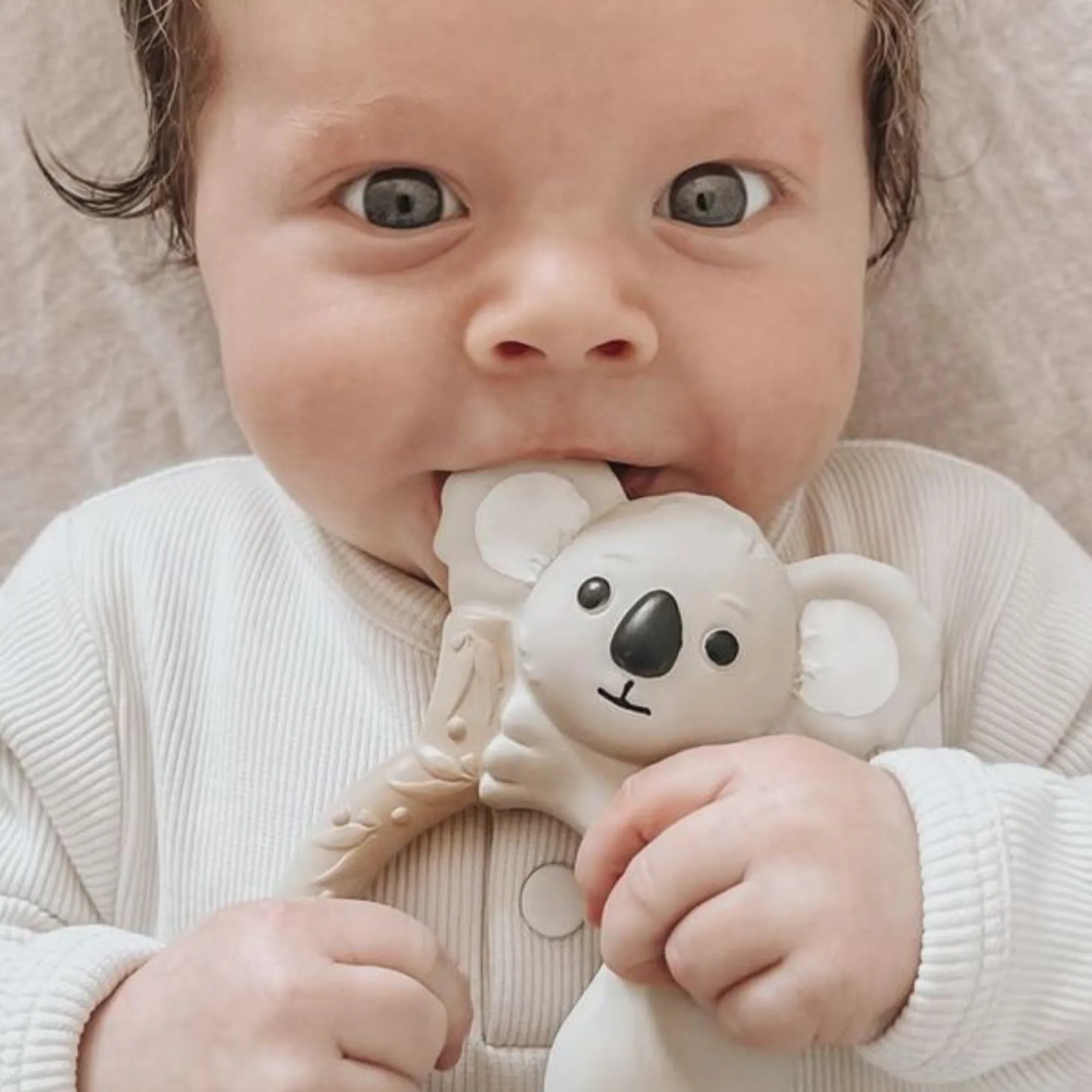 banks_the_koala__teething_2.webp Winnie Parkes Eco | Baby>Banks the Koala - Teething Ring - 0+