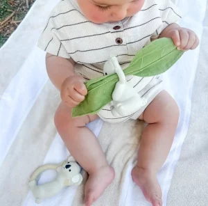 Winnie Parkes Teethers & Rattles | Eco>Banks the Koala Rattle & Scrunch - 0+