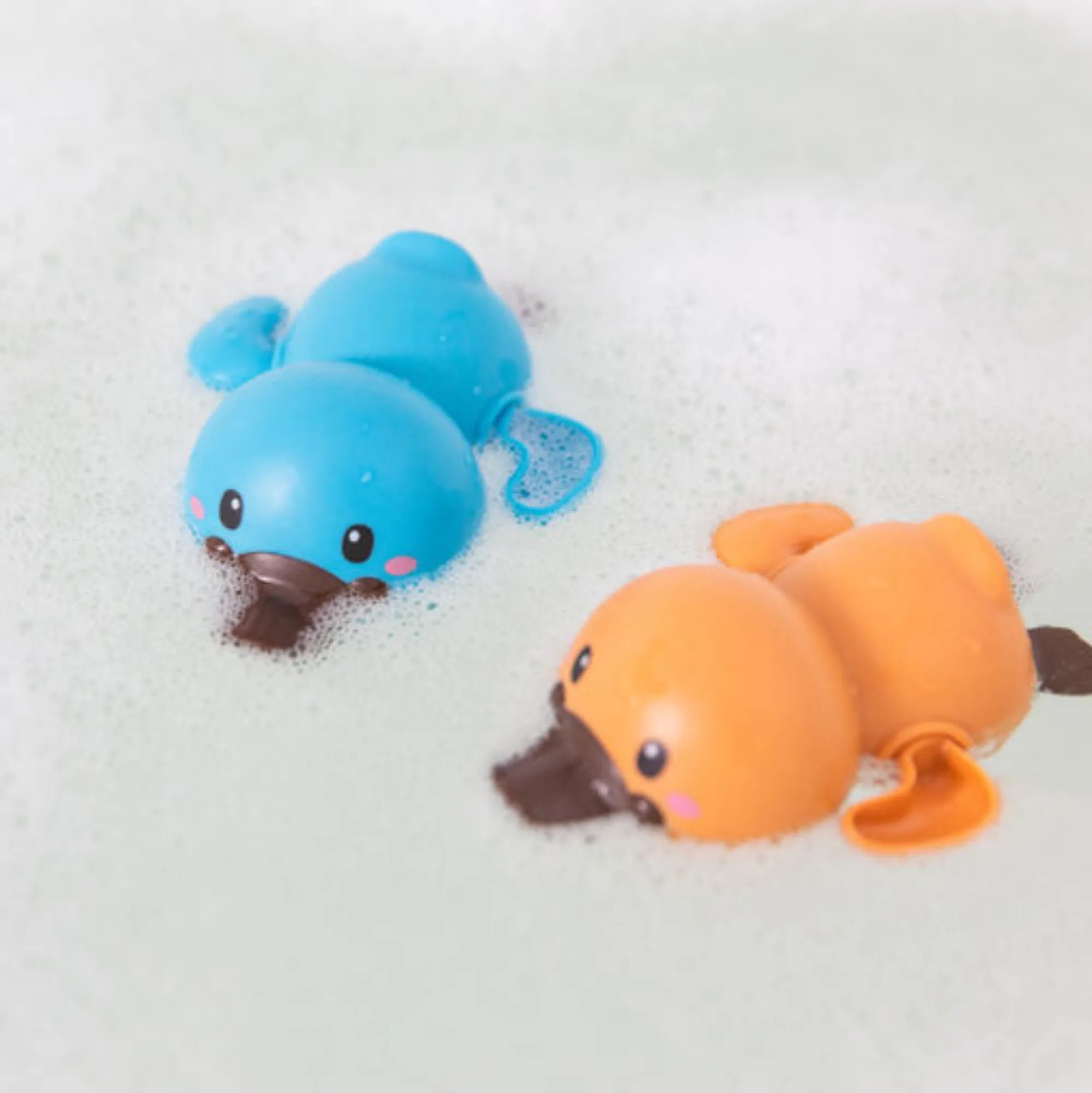bath_racers__platypus__m_0.webp Tiger Tribe Bath Time | Australian>Bath Racers - Platypus - 18M+