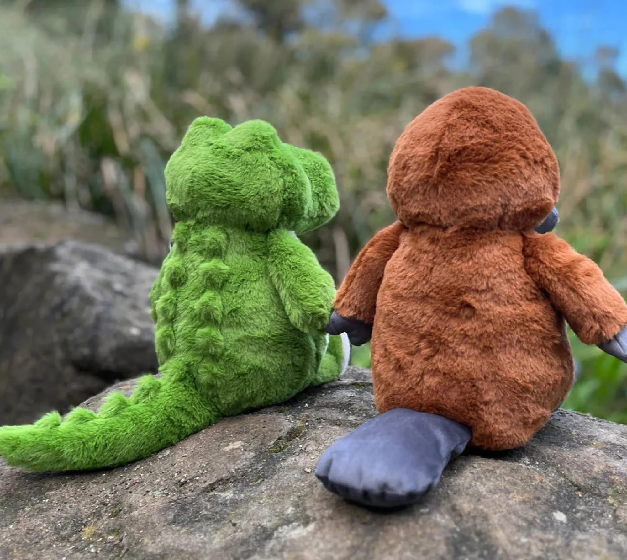 crocodile_3.webp Furfolk Soft Toys | Australian>Crocodile