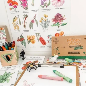 Honeysticks Eco | Art & Craft>Jumbo Crayons - 12M+