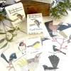 Bridget Farmer Games | Eco>Kookaburra Kookaburra Card Game