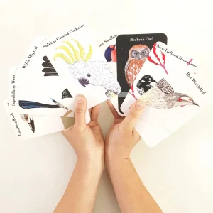 Bridget Farmer Games | Eco>Kookaburra Kookaburra Card Game