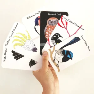 Bridget Farmer Games | Eco>Kookaburra Kookaburra Card Game