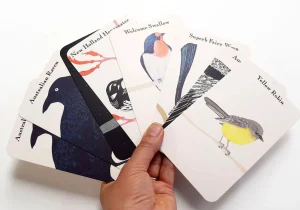 Bridget Farmer Games | Eco>Kookaburra Kookaburra Card Game