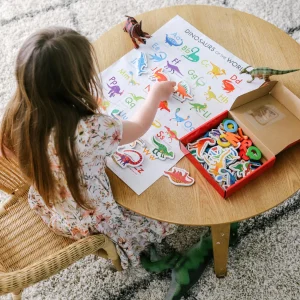 Curious Columbus Activity>Magnetic Dinosaurs - 2+