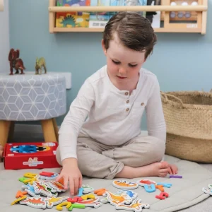 Curious Columbus Activity>Magnetic Dinosaurs - 2+