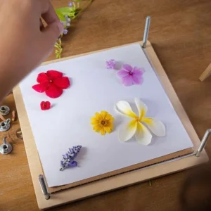 Tender Leaf Toys Garden | Art & Craft>My Botanical Flower Press - 3+