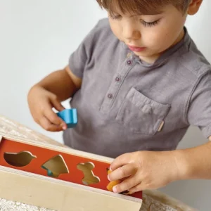 Mentari Wooden Toys>Pet Shape Sorting Box - 2+