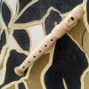 Jaclyn & Matisse Music>Recorder - 3+