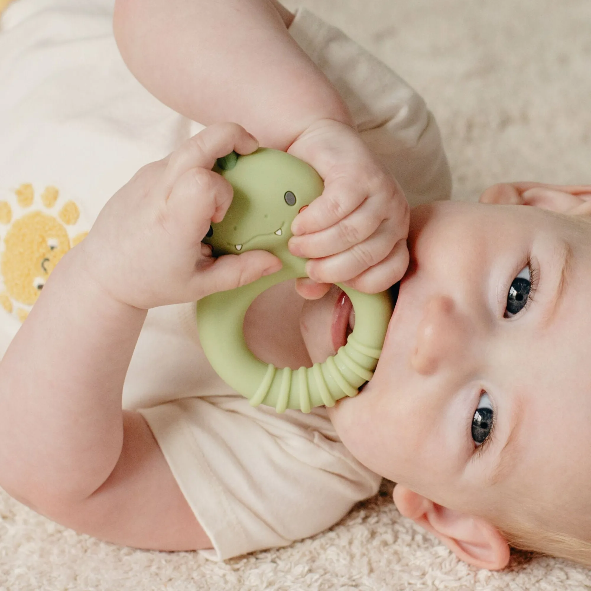 silicone_teether_dino___2.webp Tiger Tribe Teethers & Rattles | Baby>Silicone Teether Dino - 0+