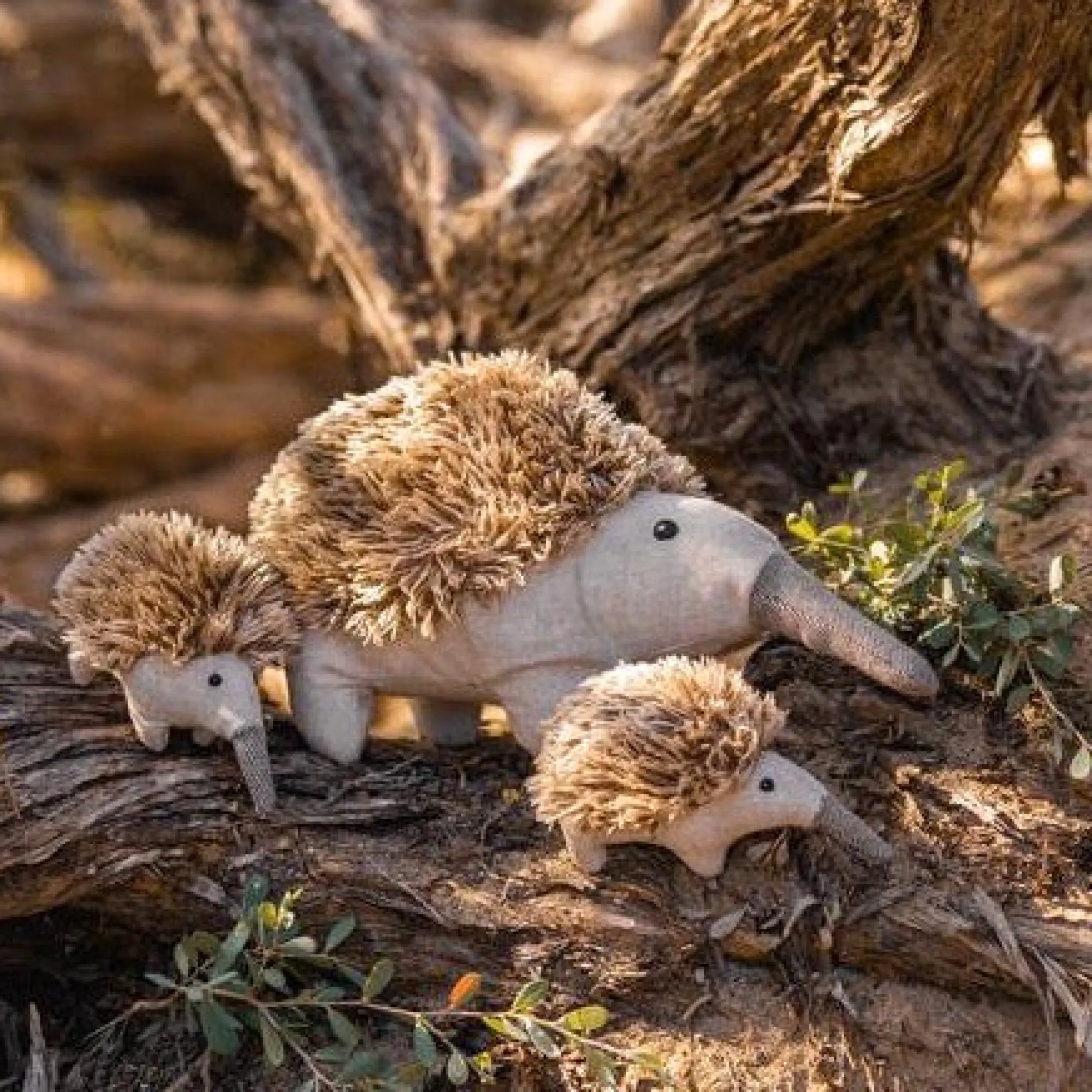spike_the_echidna__cm_1.webp Nana Huchy Soft Toys | Baby>Spike the Echidna - 27cm