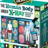 Headu Activity | Outlet>The Human Body Under X - Ray - 6+