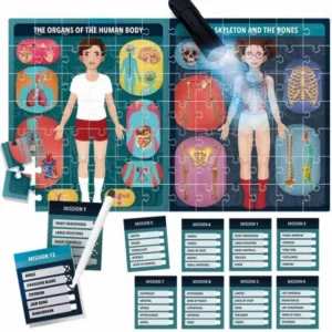 Headu Activity | Outlet>The Human Body Under X - Ray - 6+