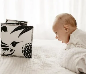 Mesmerised Eco | Baby>Wildbaby Organic Cloth Book - 0+